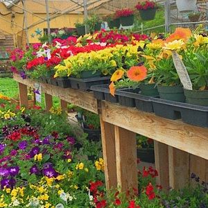 PLEASE READ BEFORE PURCHASING